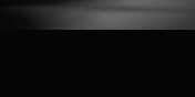 Asian Professional Network logo