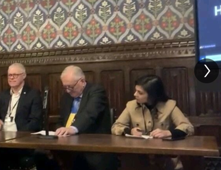 Neelu speaking at Houses of Parliament